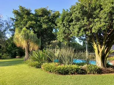 a garden with a swimming pool and trees and grass at The Swiss Garden in Midrand