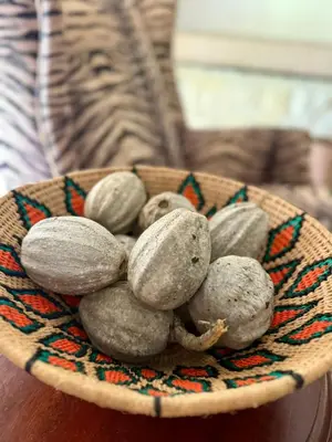 a bowl of mushrooms sitting on a table at Private African Retreat at 3000ha Mangweni Game Reserve in Elandsbosch