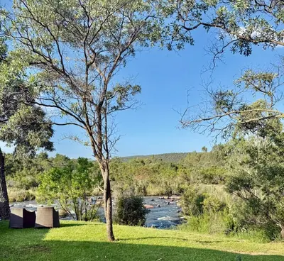 a tree in the grass next to a river at Private African Retreat at 3000ha Mangweni Game Reserve in Elandsbosch