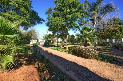 a garden with palm trees and a dirt road at GlenAustin Garden Haven in Midrand