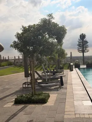 a row of park benches with trees next to the water at Riviera Château de Rêve - Phoenix's Gîte at Ellipse Waterfall, Midrand in Midrand