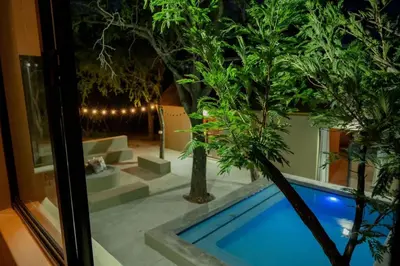 a house with a swimming pool and some trees at Timlia Marloth Park in Marloth Park