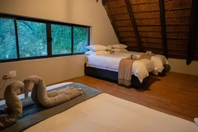 two beds in a room with two large windows at Timlia Marloth Park in Marloth Park