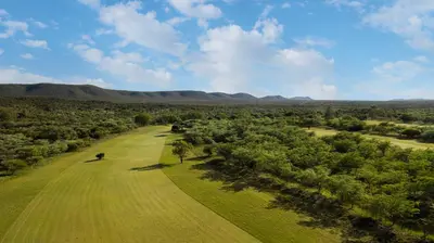 an aerial view of a field with trees and mountains at Babirwa in Rooiberg