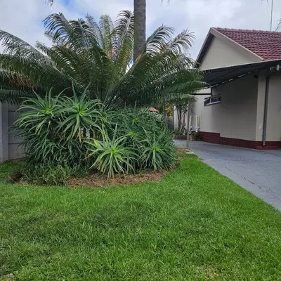 a palm tree in a yard next to a house at 14 Isabel Room 2 in Centurion