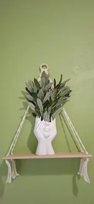 a white vase with a plant on a shelf at Olive Studio in Pretoria