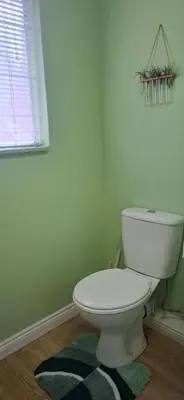 a bathroom with a white toilet and a rug at Olive Studio in Pretoria
