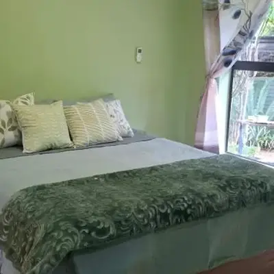Olive Studio