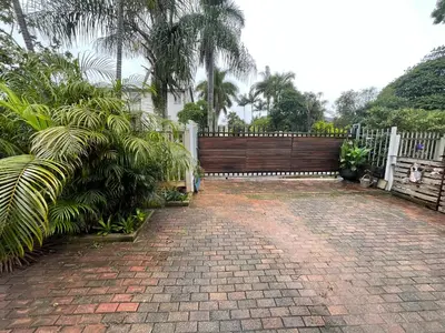 a brick driveway with a wooden fence and palm trees at ColtsRest in White River