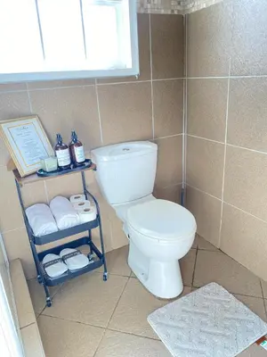 a bathroom with a toilet and a shelf with towels at Asanda Retreat in Kempton Park