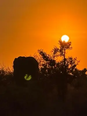 a truck parked in front of a sunset at Inn Africa Safari Camp in Welverdiend