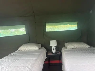 two beds in a room with two windows at Inn Africa Safari Camp in Welverdiend