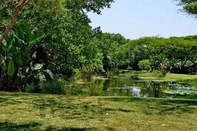 a pond in a park with trees and grass at Cambalala - Luxury Units - in Kruger Park Lodge - Serviced Daily, Free Wi-Fi in Hazyview