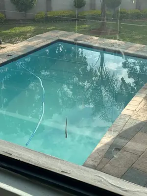 a swimming pool with blue water in a yard at The Residence in Midrand