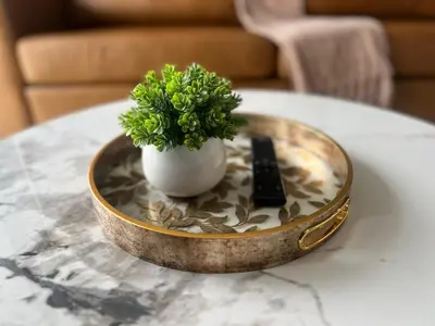 a potted plant sitting on top of a table at LeeMo at Ellipse Waterfall in Midrand