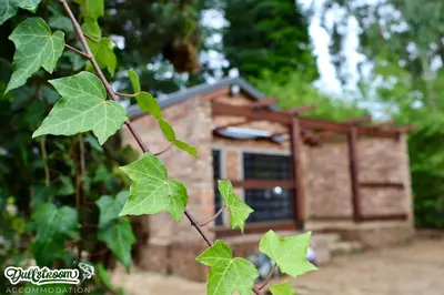 a tree branch with green leaves in front of a building at Kilmister Cottage in Dullstroom