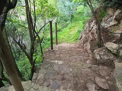 Gallery image of Deetlefs Lookout in Pretoria