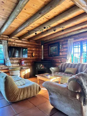a living room with couches and a fireplace in a cabin at Little Lions in Dullstroom