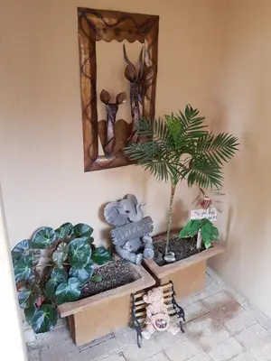 a mirror on a wall with plants and a tree at Sekelbos Guesthouse in Pretoria