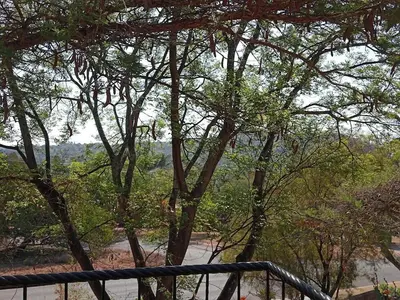 a view of a river through a group of trees at Bekkersheim in Pretoria