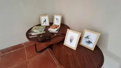 a table with pictures on top of it at Stille Uitsig Hazyview in Hazyview
