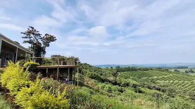 a house on a hill next to a vineyard at Stille Uitsig Hazyview in Hazyview