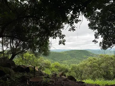 a view of a valley with trees and a bench at Camping at Kanaan in Hazyview