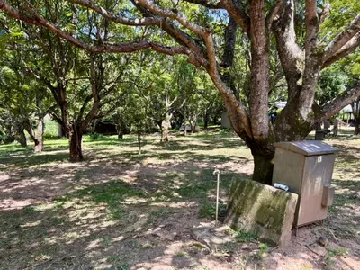 a utility box sitting next to a tree at Camping at Kanaan in Hazyview