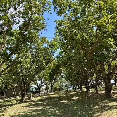 Camping at Kanaan