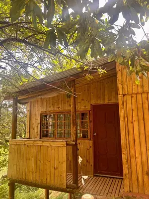 a small wooden house with a red door at Backpackers at Kanaan in Hazyview