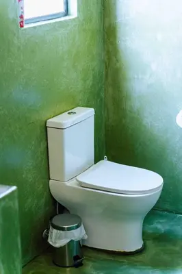 a bathroom with a white toilet in a green wall at Atimangeni Bush Guest House in Dwarsloop