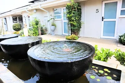 a fountain in a pond in front of a house at 78onJean in Centurion