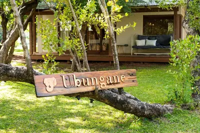 a sign that reads ultimate camping on a tree branch at Ubungane Lodge in Makalali Game Reserve