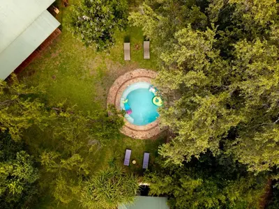 an overhead view of a swimming pool in the middle of a forest at Ubungane Lodge in Makalali Game Reserve