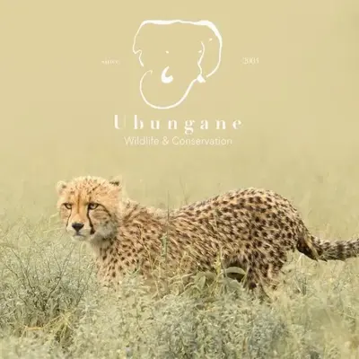 Ubungane Lodge