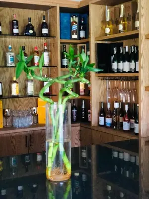 a glass vase with a green plant in a bar at Royal Bliss Lodge and Spa in Midrand