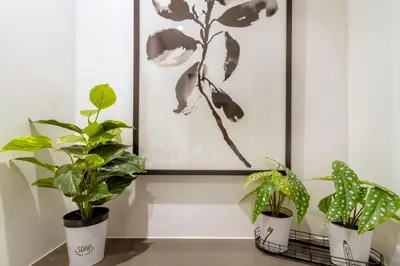 two potted plants sitting on a table with a picture at #AlimamaSpaces The Nook Menlyn Maine Studio in Pretoria
