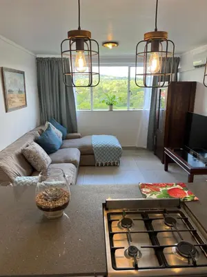 a living room with a couch and a stove at 458 on Manitoba in Pretoria