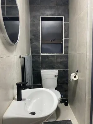a bathroom with a white toilet and a sink at Black Rose Guesthouse Northam in Northam