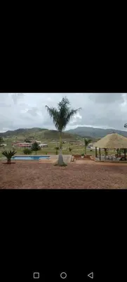 a palm tree sitting next to a swimming pool at JandJ Guest House in Armburg