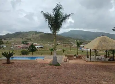 a palm tree sitting next to a swimming pool at JandJ Guest House in Armburg