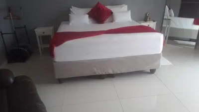 a bedroom with a large white bed with red pillows at JandJ Guest House in Armburg