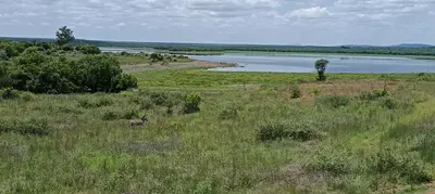 an animal walking in a field with a body of water at Vaalkop Dam Reserve, self-catering log cabin holiday home in Beestekraal, South Africa in Beestekraal