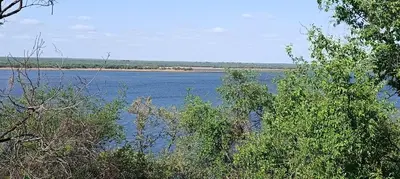 a view of a large body of water with trees at Vaalkop Dam Reserve, self-catering log cabin holiday home in Beestekraal, South Africa in Beestekraal