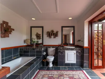 a bathroom with a tub and a toilet and a sink at Thaba Metsi Private Game Lodge - Welgevonden in Vaalwater