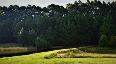 a field of grass next to a body of water at LINGER LONGER COUNTRY RETREAT, Dullstroom in Dullstroom