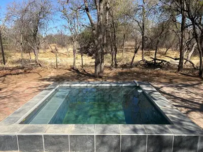 a swimming pool in the middle of a field with trees at Kaalkraal Safari Lodge