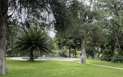 a park with a palm tree and a swimming pool at Kaalkraal Safari Lodge