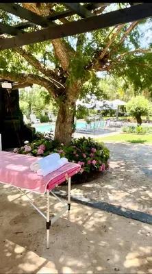 a pink table with a napkin on it next to a tree at SPAat343 in Roodeplaat