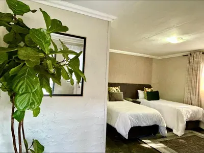 a hotel room with two beds and a plant at SPAat343 in Roodeplaat